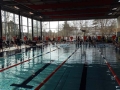 kelkheimer-schwimmclub-dms-2-2017-1