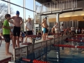 kelkheimer-schwimmclub-dms-2-2017-7