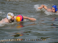 Freundschaftswasserballturnier Schwedlersee in Frankfurt-10