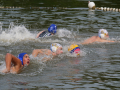 Freundschaftswasserballturnier Schwedlersee in Frankfurt-11