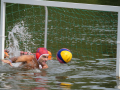 Freundschaftswasserballturnier Schwedlersee in Frankfurt-14