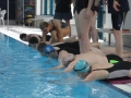 KSC_70_Schwimmschule36
