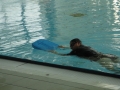 KSC_70_Schwimmschule51