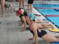 KSC_70_Schwimmschule53