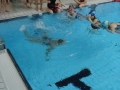 KSC_70_Schwimmschule71