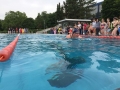 Stadtmeisterschaft_Schwimmen_Kelkheim_im_39