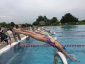 Stadtmeisterschaft_Schwimmen_Kelkheim_im_58
