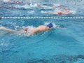 Stadtmeisterschaft_Schwimmen_Kelkheim_im_62