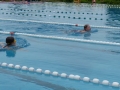 Stadtmeisterschaft_Schwimmen_Kelkheim_im_69