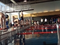 kelkheimer-schwimmclub-dms-2-2017-2
