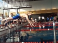 kelkheimer-schwimmclub-dms-2-2017-3