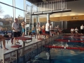 kelkheimer-schwimmclub-dms-2-2017-6