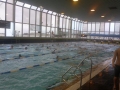Der Kelkheimer Schwimmclub in England 2014