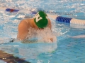 Weihnachtsschwimmen2017-24